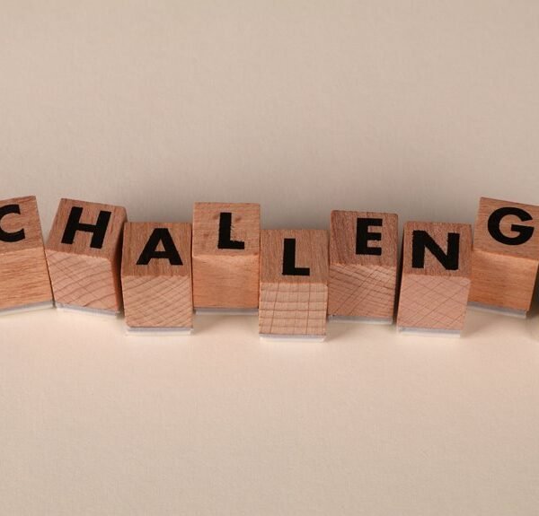 common challenges with 9493840255
